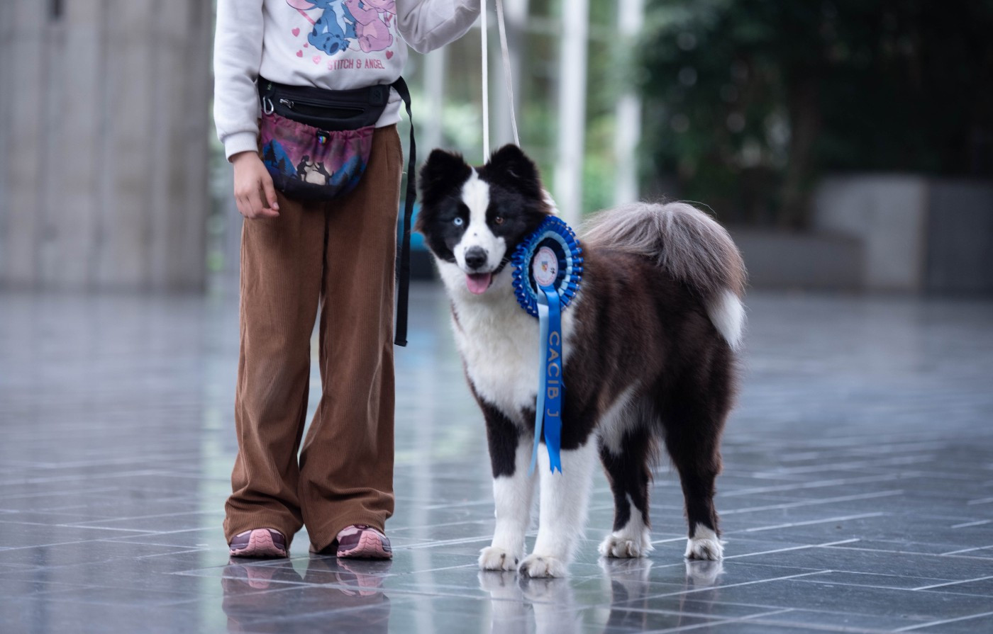 Dust Of Snow Angel'S Family Lilo