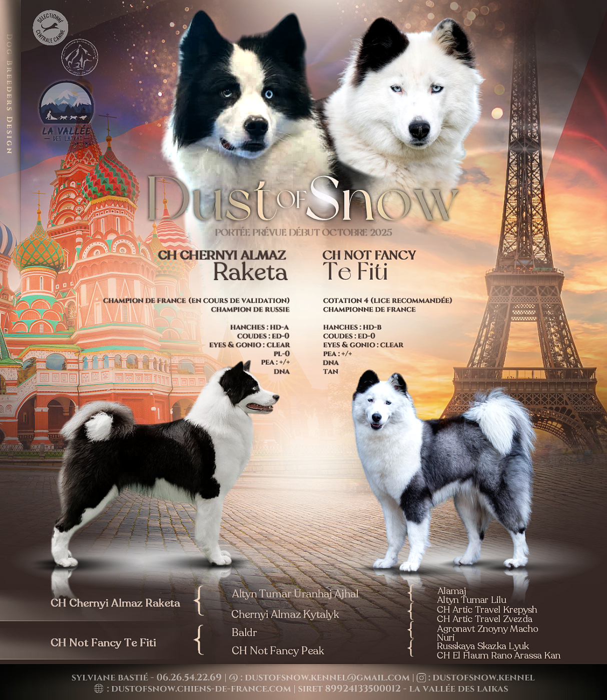 Dust Of Snow - Laika de iakoutie - Portée née le 02/10/2025